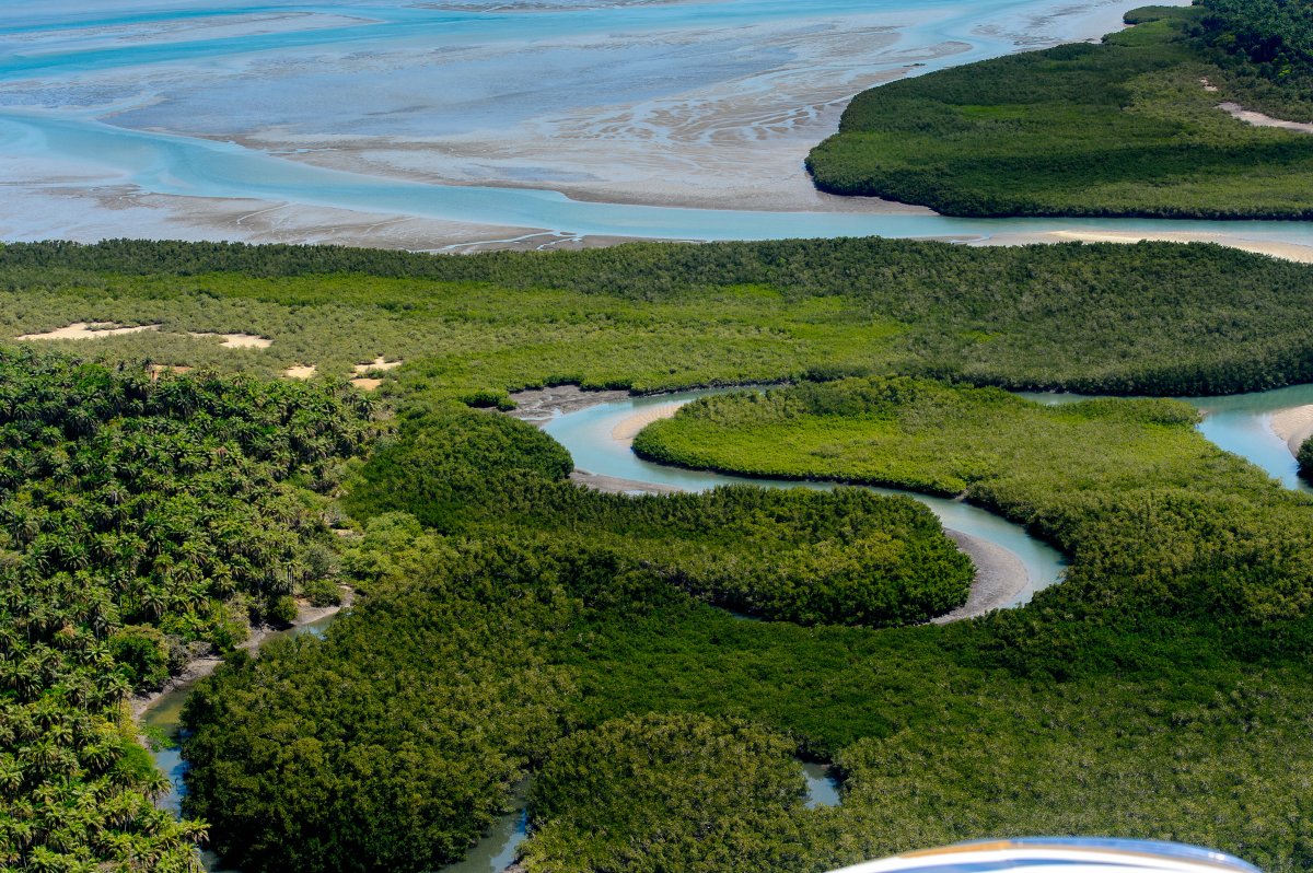 Méandres vivants des Bijagos Depuis les airs, les mangroves de l’archipel des Bijagos (Guinée-Bissau) dessinent un monde à part, entre terre et mer. Ces écosystèmes, d’une richesse exceptionnelle, abritent une biodiversité précieuse et jouent un rôle essentiel dans la protection des côtes et la vie des communautés locales. Ici, l’équilibre entre nature et humanité est encore possible — et il inspire une autre manière de voyager : plus lente, plus respectueuse, plus connectée.