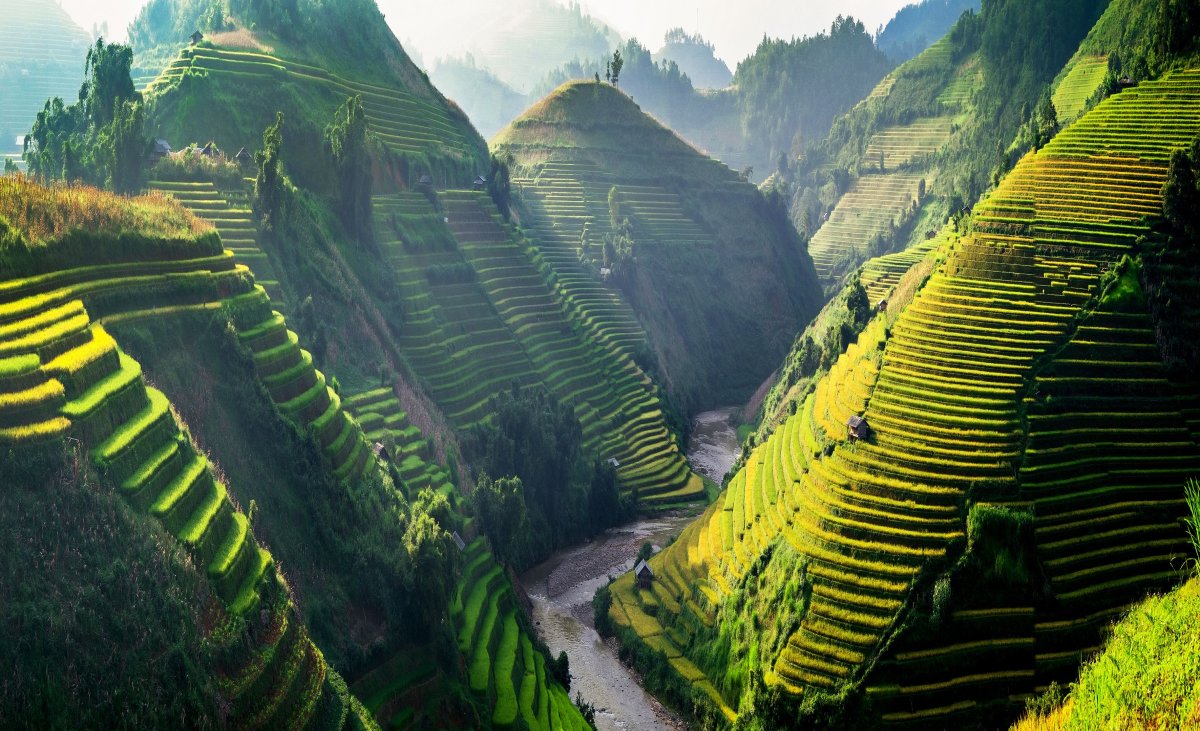 Rizières en terrasses – Harmonie entre nature et tradition Paysage de rizières en terrasses verdoyantes s’étendant sur les collines d’Asie, traversées par une rivière, illustrant l’harmonie entre agriculture traditionnelle et nature.